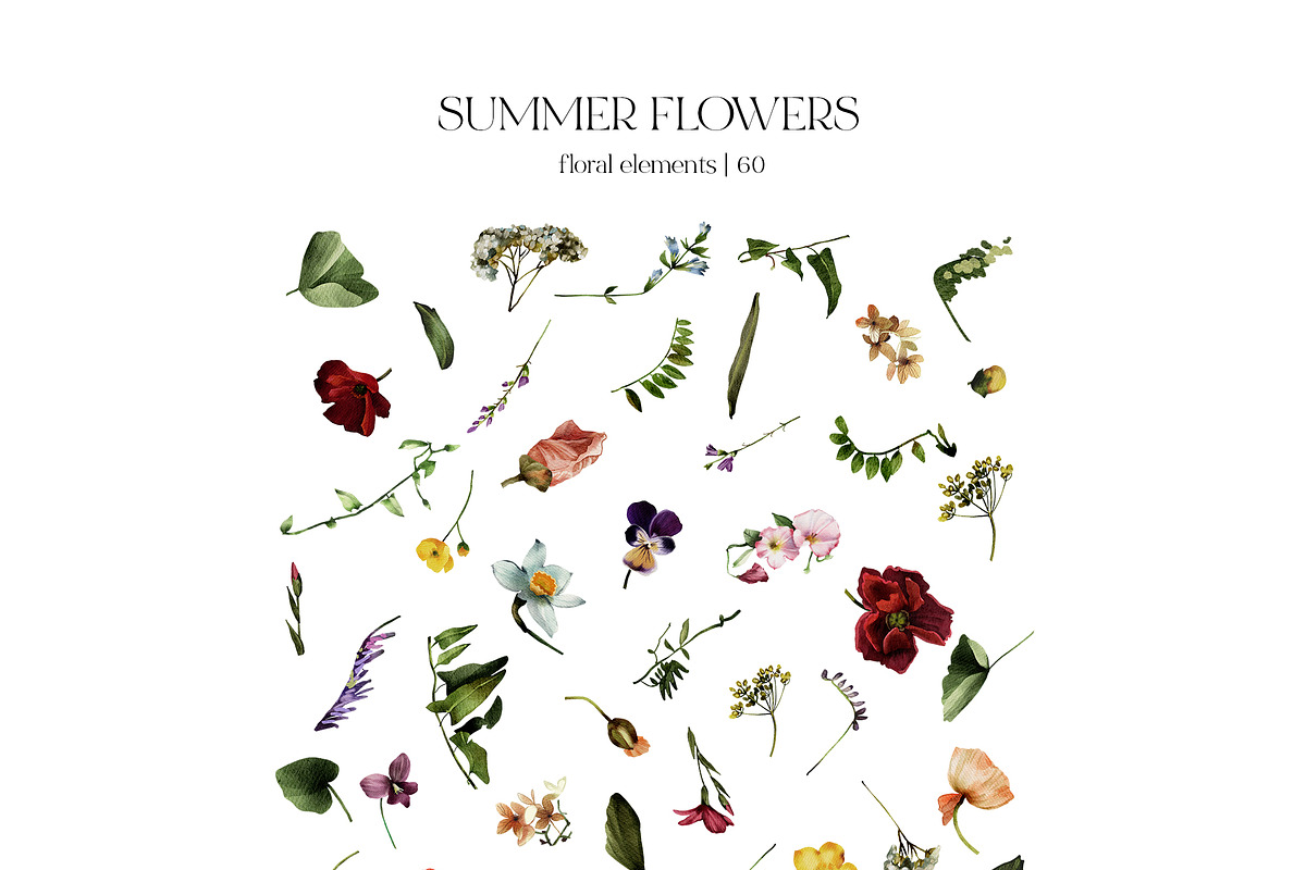 Field Flowers Watercolour Clipart, a Decorative Illustration by whiteheartdesign (Photo 15 of 20)