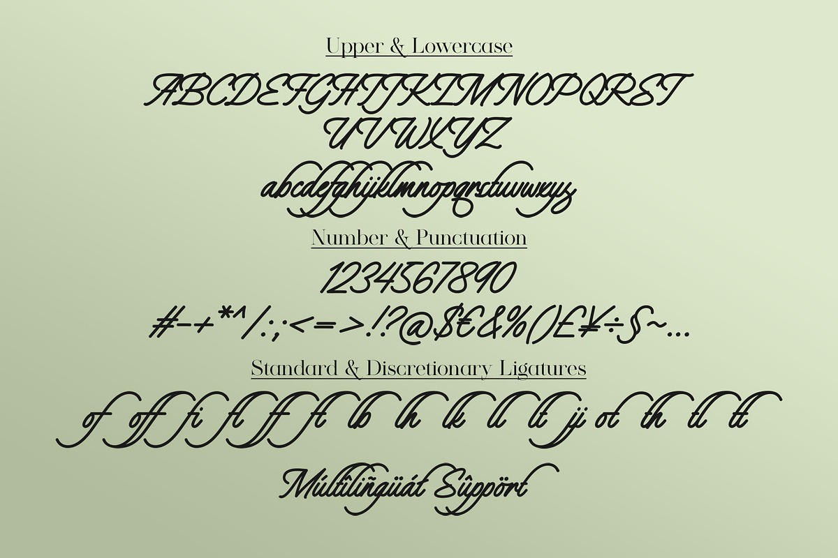 Centyline | Monoline Script, a Script Font by Lemonthe (Photo 7 of 7)