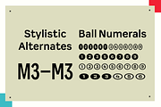Resident Sans Serif, a Sans Serif Font by Fenotype (Thumbnail 14 of 14)