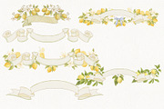 Lemon Garden Collection, a Seasonal Illustration by AlenaVlasko stock Market (Thumbnail 8 of 10)