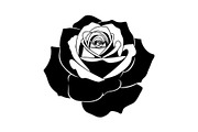 50 Black Rose Silhouette Vector Bund, an Illustration by Gaye Art (Thumbnail 34 of 51)