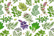 Green pattern with herbs and spices, a Pattern Graphic by Primula`s shop (Thumbnail 2 of 3)