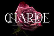 CANNU, a Serif Font by DYSA Studio (Thumbnail 3 of 13)