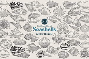 Seashell Coastal Vector Illustration