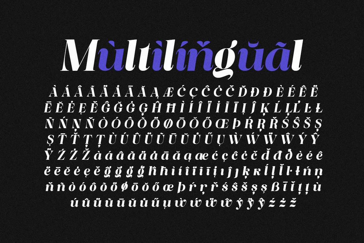 Piloner - 18 Font, a Serif Font by Pista Mova (Photo 13 of 13)