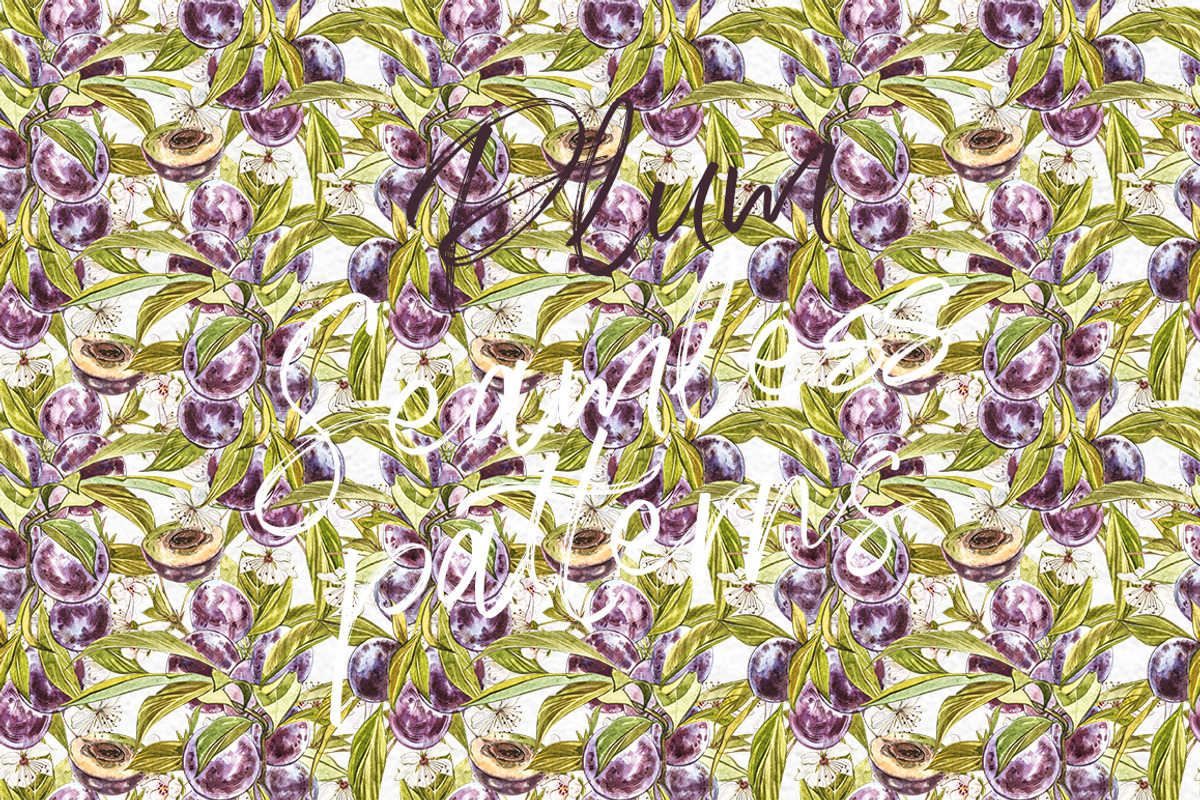Plum in botanical style, a Food Illustration by Ann Astro (Photo 6 of 11)