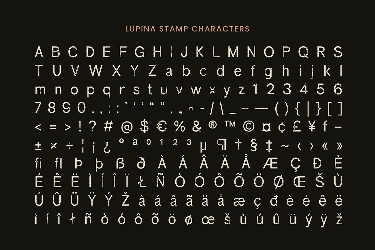 Lupina Stamp, a Sans Serif Font by Craft Supply Co. (Photo 7 of 8)