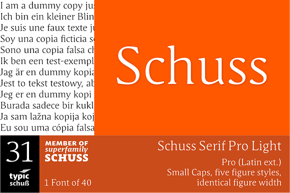 SchussSerifProLight No.31 (1 Font) preview 6