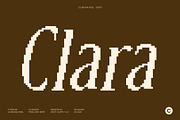 CS Bruna Pixel, a Serif Font by Craft Supply Co. (Thumbnail 2 of 8)