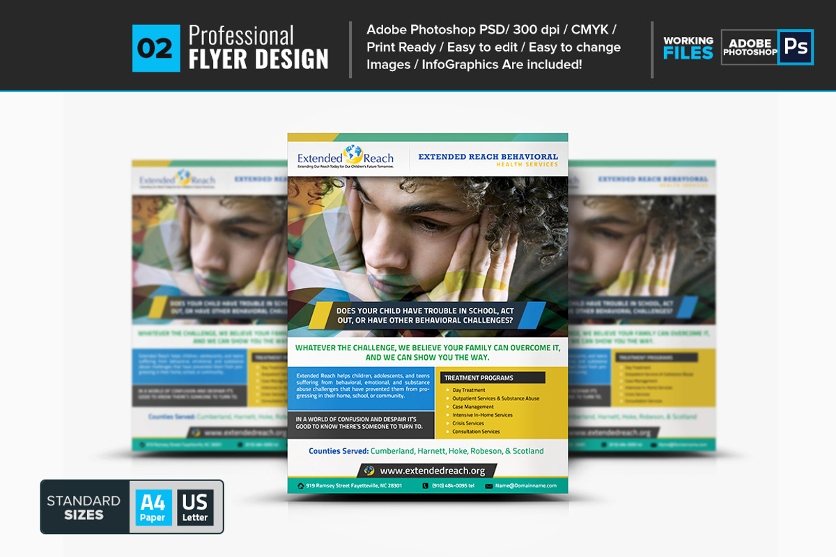 Professional Flyer 02, a Flyer Template by Layout Design
