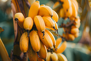 174 Banana world images, a Food & Drink Photo by Handmadefont (Thumbnail 10 of 14)