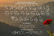 Winterday Amsterdam, a Handwritten Font by InermediaSTUDIO (Thumbnail 6 of 8)