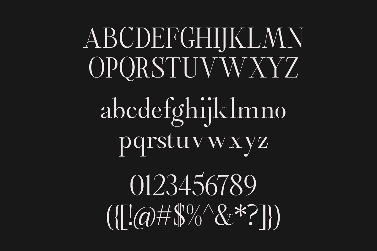 Castlon | 16 Fonts, a Serif Font by Skinny Type (Photo 9 of 10)