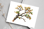 Watercolor Vintage Woodland Clipart, an Illustration by Canvas Craft (Thumbnail 5 of 7)