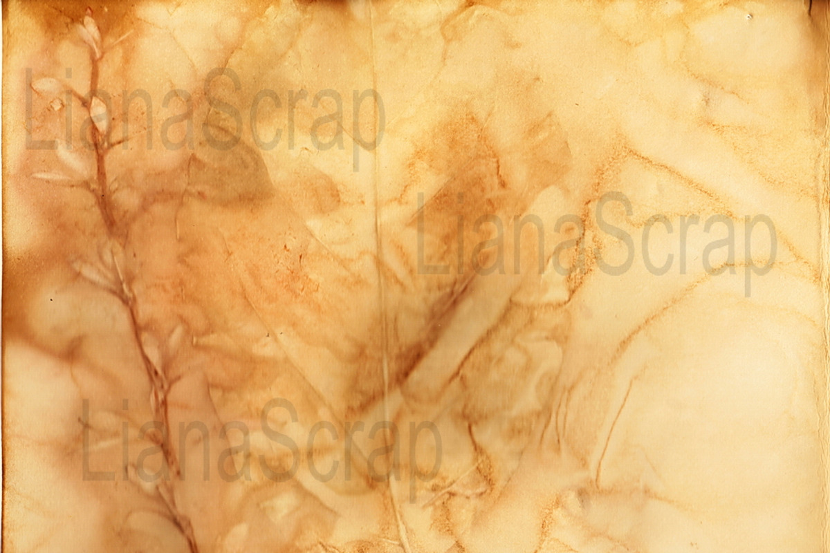 36 ECO Dyed paper - Forest Floor, a Texture Graphic by LianaScrap (Photo 4 of 19)