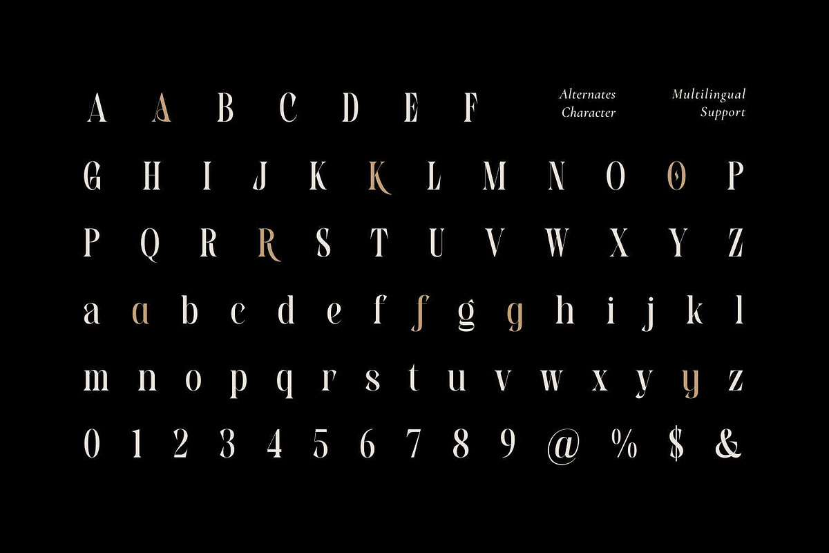 Biens Dailymo - Chic Display Serif, a Serif Font by Imoodev (Photo 5 of 5)