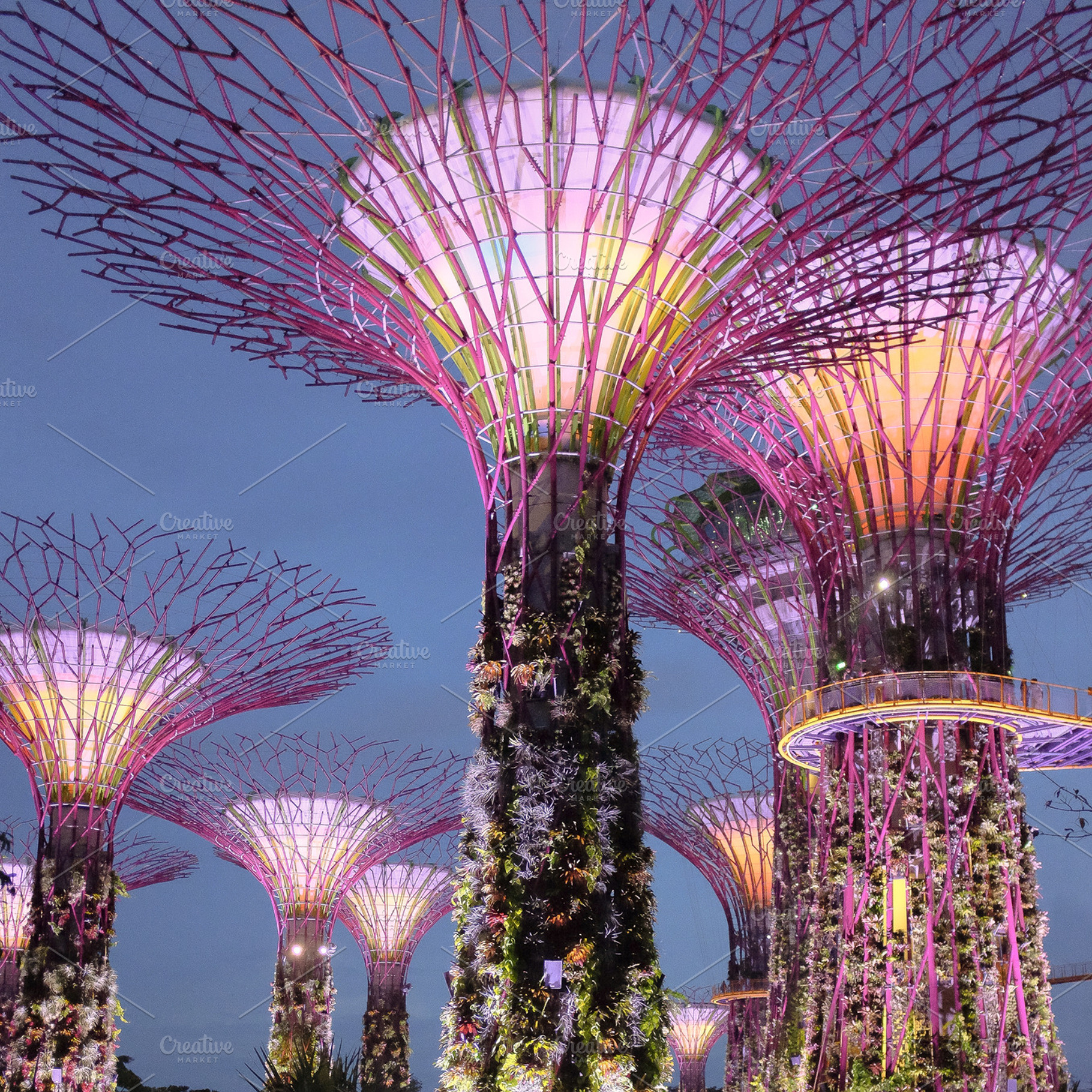 Supertrees