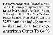 Confirm Serif (42 fonts), a Font by Dora Typefoundry (Thumbnail 3 of 12)
