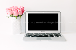 Pink and White Styled Stock Image
