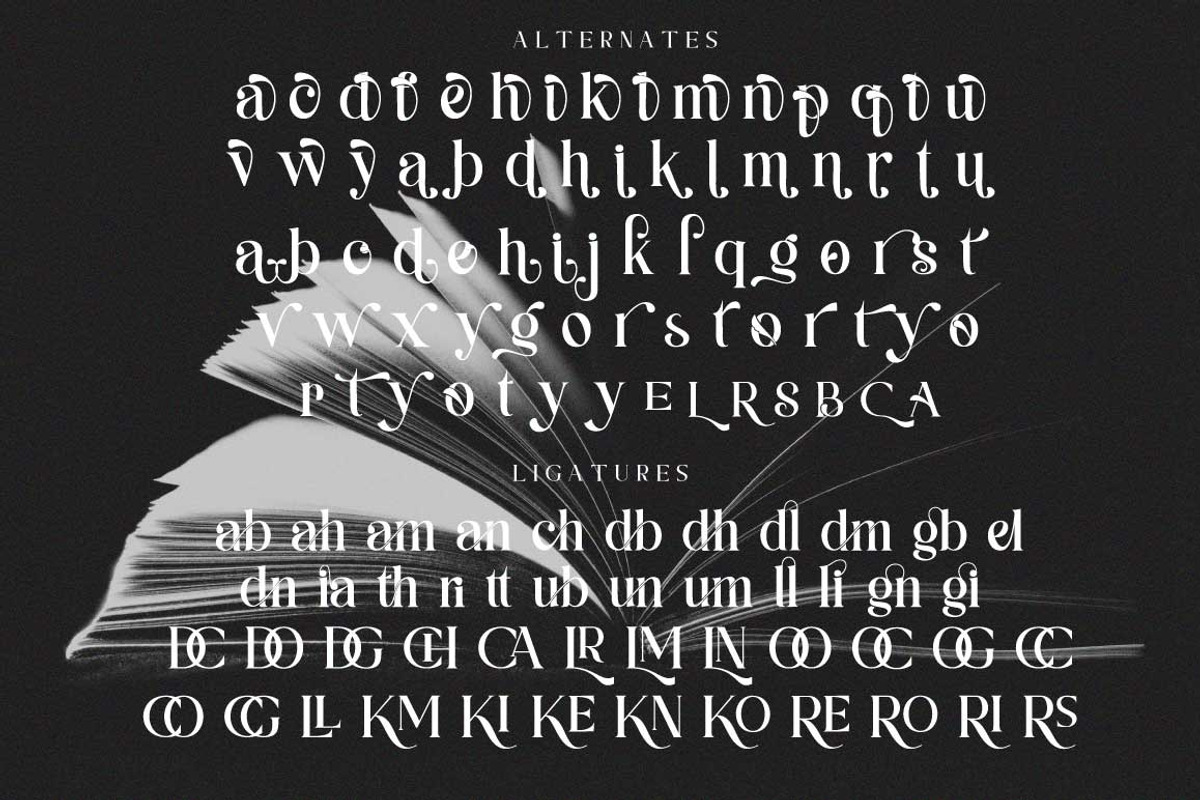 Goliath Typeface, a Serif Font by Cut Story (Photo 14 of 14)