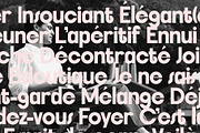 FlyBridge - Bold Ligature Rich Sans, a Sans Serif Font by SilverStag Type Foundry (Thumbnail 19 of 30)
