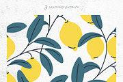 Lemon Cliparts, Frames & Patterns, a Decorative Illustration by Panna Limon Store (Thumbnail 12 of 18)