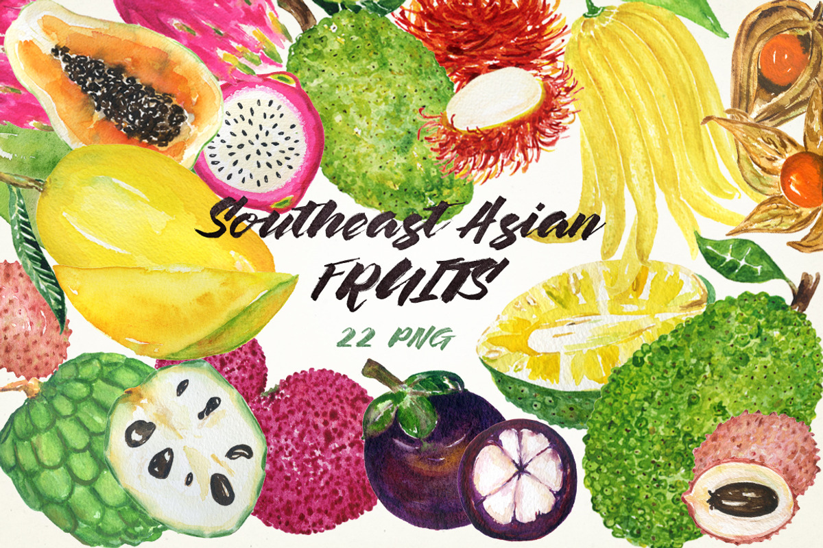 Tropical Asian fruits watercolors, a Food Illustration by LABFcreations (Photo 5 of 6)