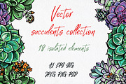 Vector succulents collection, an Illustration by AV Design (Thumbnail 1 of 7)