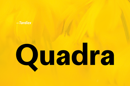 Quadra - Family Grotesk