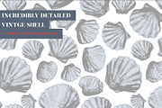 Vintage shell, an Illustration by Siosay (Thumbnail 6 of 8)