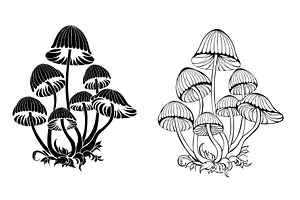 Silhouette Hallucinogenic Mushrooms