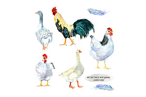 chickens and geese watercolor 