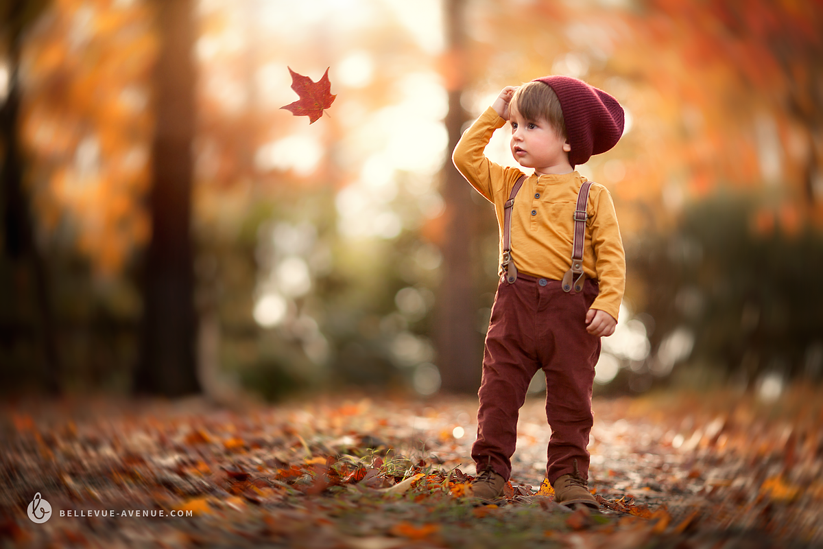 Leaf & Branch Overlays (Real) preview 5