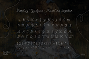 CF Mariline - Monoline Script, a Script Font by Indotype Foundry (Thumbnail 3 of 10)