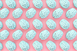 Minimal blue brain collection