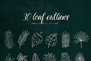 BOTANY BUNDLE - 6in1, a Food Illustration by amber&ink (Thumbnail 14 of 19)