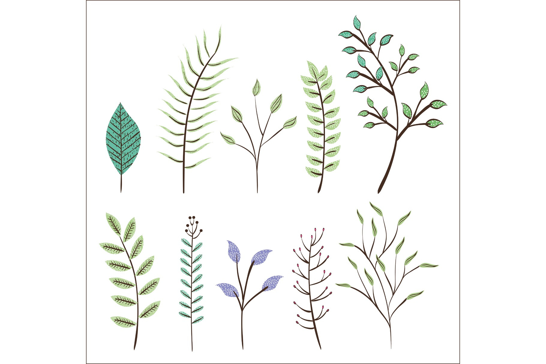 Leafs Plant Set Vintage Icons by Studiogstock  Creative Market