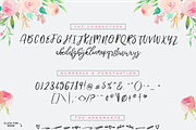 Twenty Nine Font + Bonus, a Script Font by Flycatcher Design (Thumbnail 7 of 7)