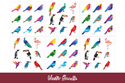 175 Vibrant Bird EPS Bundle, an Object Illustration by Sofia's Fashion (Thumbnail 3 of 3)