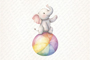 Pastel Summer Circus Clipart, an Illustration by Watercolor design (Thumbnail 9 of 12)