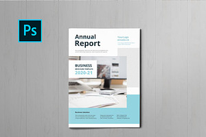 Annual Report Brochure