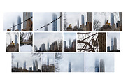 Winter In Central Park NYC Photos, an Arts & Entertainment Photo by Full Circle Design Studio (Thumbnail 4 of 5)