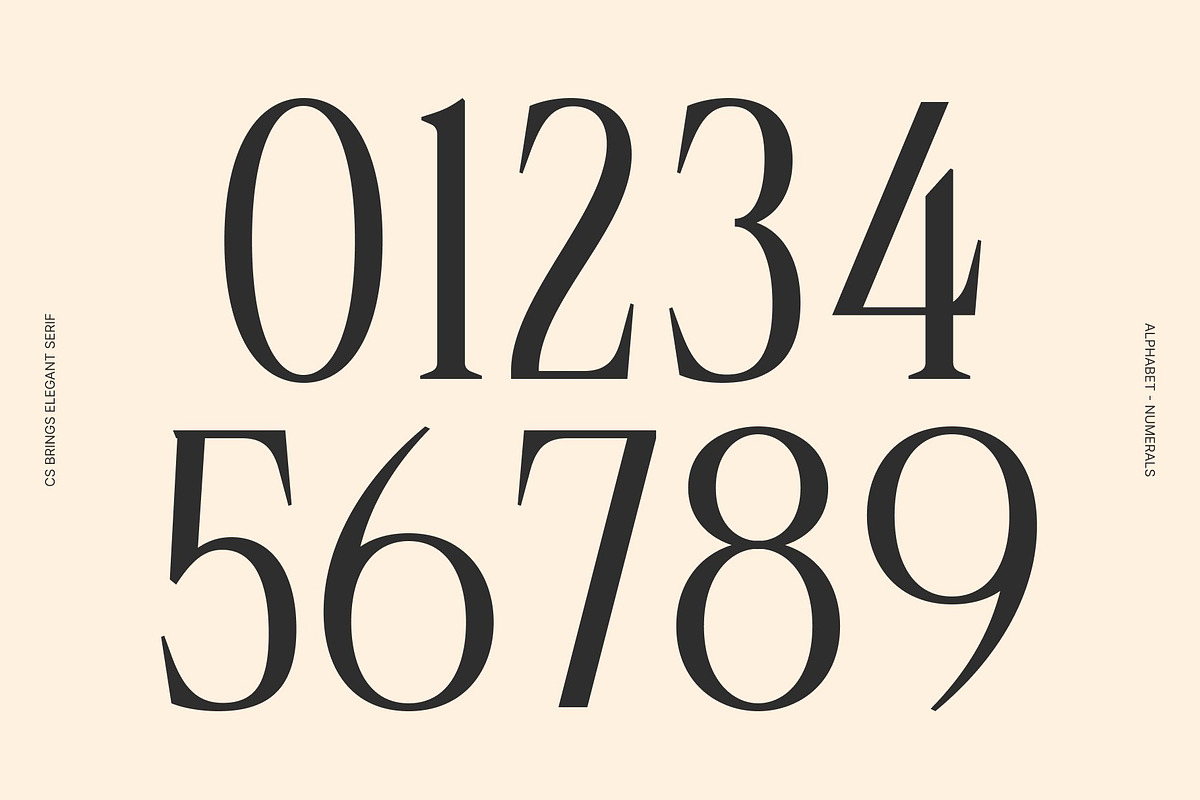 CS Brings – Elegant Serif Font, a Serif Font by Craft Supply Co. (Photo 5 of 8)