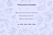 Berries Vector Illustration Pack, an Illustration by Castula (Thumbnail 3 of 17)