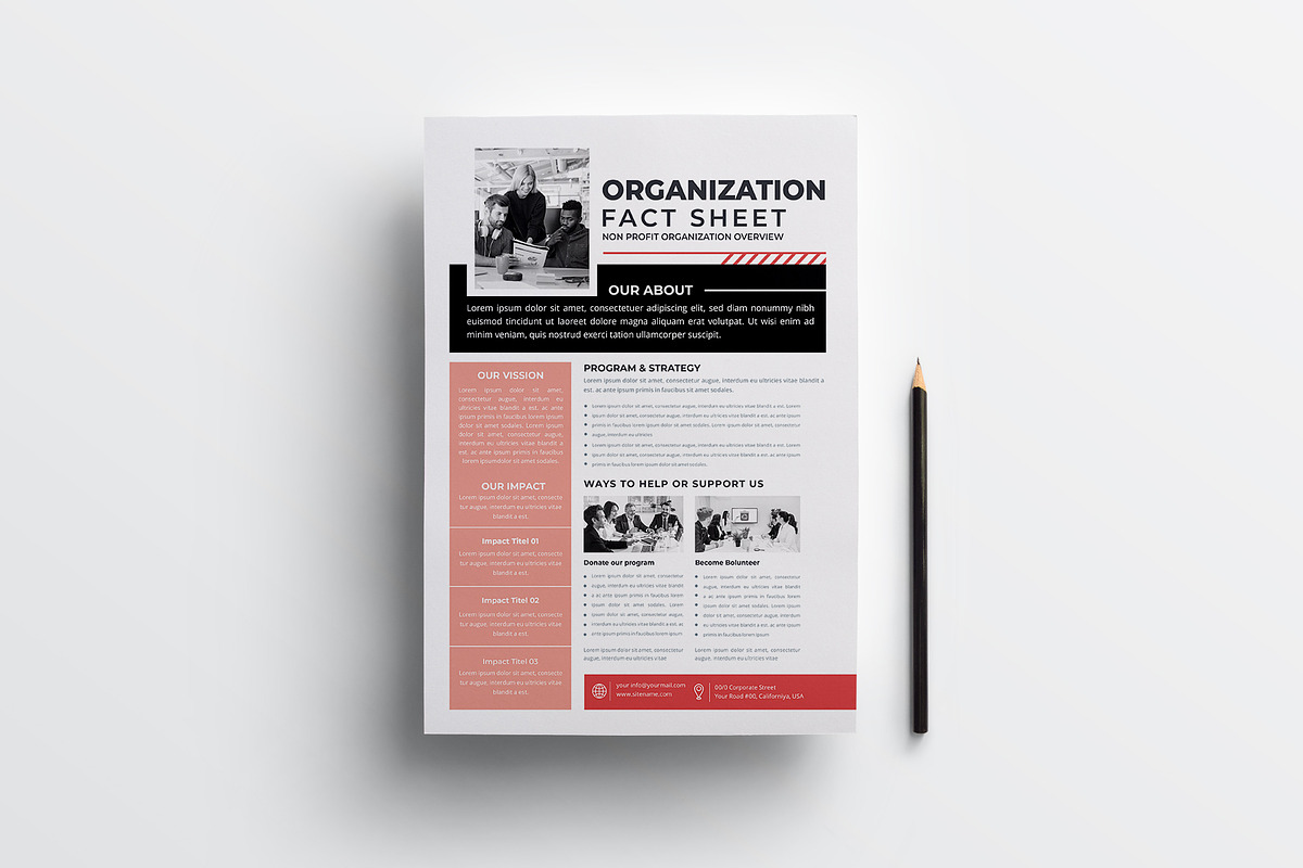 Nonprofit Organization Fact Sheet, a Flyer Template by obayes