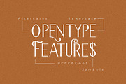 The Bravery, a Serif Font by Pollux of Geminorum (Thumbnail 7 of 12)
