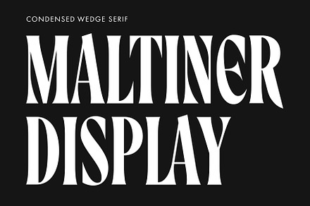 Maltiner Display, a Serif Font by Arterfak Project