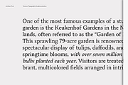 Artikan: 12 Text Serif Fonts, a Serif Font by Eko Bimantara (Thumbnail 6 of 18)