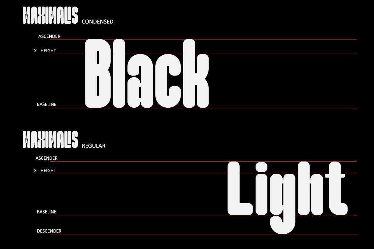 Maximalis, a Sans Serif Font by Say Studio (Photo 10 of 13)