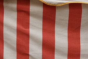 Tent 5 featuring tent, cloth, and fair